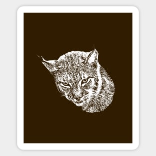 Lynx Sticker